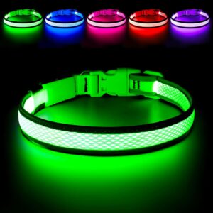 LED Safety Collar – Light Up Your Dog’s Life (Literally)