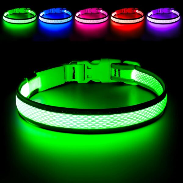 LED Safety Collar – Light Up Your Dog’s Life (Literally)