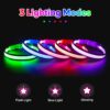 LED Safety Collar – Light Up Your Dog’s Life (Literally)