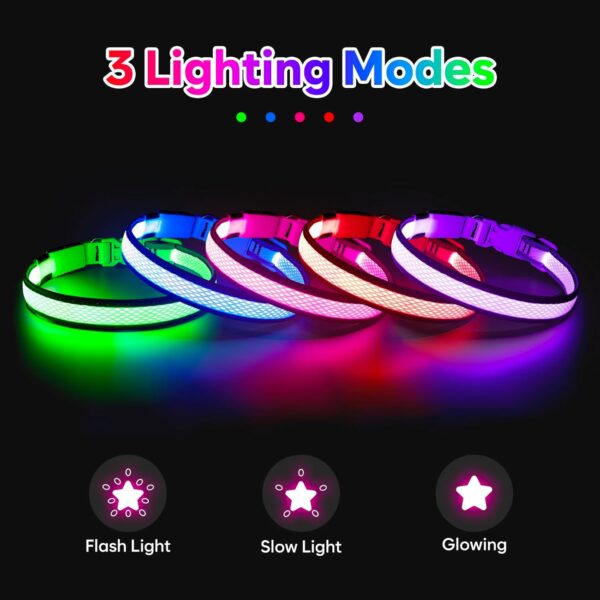 LED Safety Collar – Light Up Your Dog’s Life (Literally)