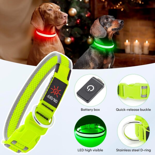 LED Safety Collar – Light Up Your Dog’s Life (Literally)