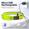 LED Safety Collar – Light Up Your Dog’s Life (Literally)