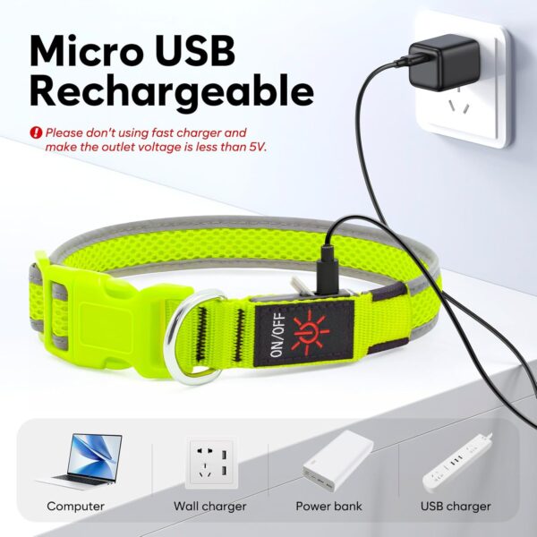 LED Safety Collar – Light Up Your Dog’s Life (Literally)