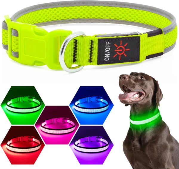 LED Safety Collar – Light Up Your Dog’s Life (Literally)