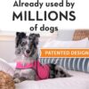 Calming Anxiety Vest – Instantly Comforts Stressed or Anxious Pets