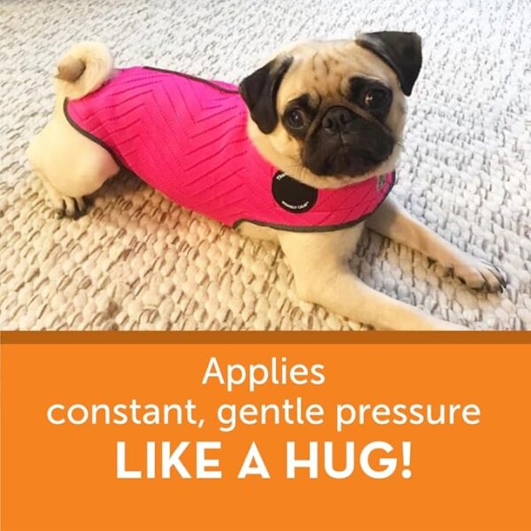 Calming Anxiety Vest – Instantly Comforts Stressed or Anxious Pets
