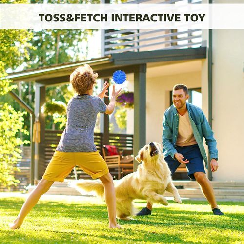 3Pcs Interactive Treat Ball Toy – Keeps Your Pet Busy, Happy, and Stimulated