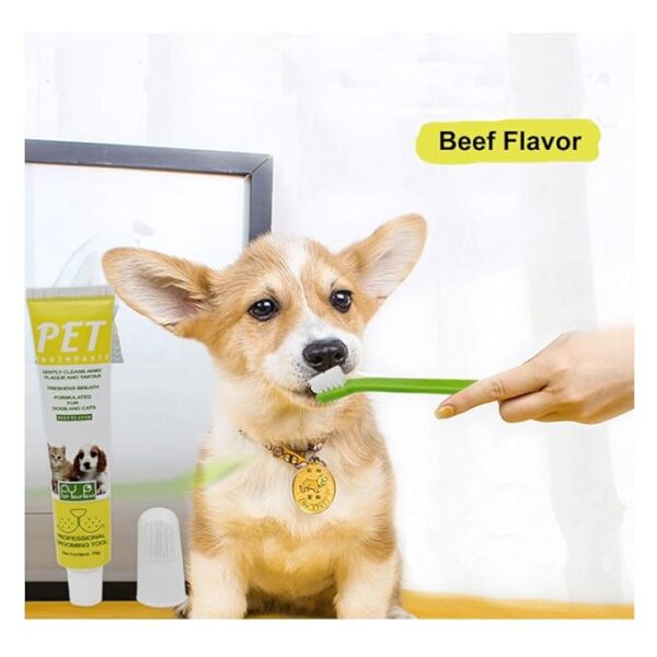 Pet Toothbrush Kit – Eliminate Bad Breath & Keep Your Pet’s Teeth Clean