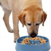 Slow Feed Bowl – Stop Fast Eating, Prevent Bloating & Vomiting