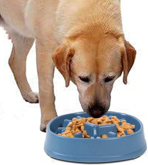 Slow Feed Bowl – Stop Fast Eating, Prevent Bloating & Vomiting