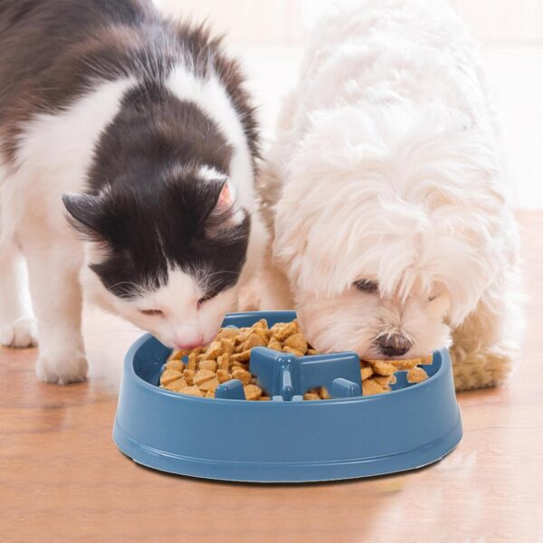 Slow Feed Bowl – Stop Fast Eating, Prevent Bloating & Vomiting