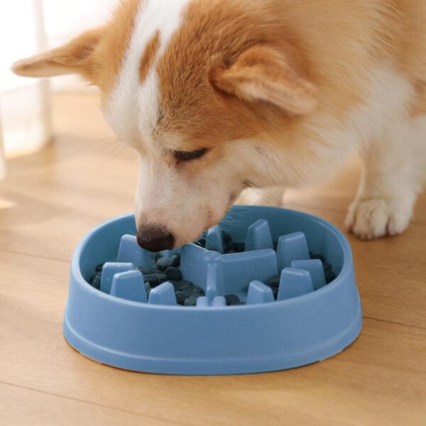 Slow Feed Bowl – Stop Fast Eating, Prevent Bloating & Vomiting