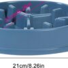 Slow Feed Bowl – Stop Fast Eating, Prevent Bloating & Vomiting
