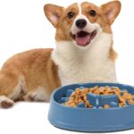 Slow Feed Bowl – Stop Fast Eating, Prevent Bloating & Vomiting