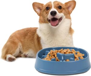 Slow Feed Bowl – Stop Fast Eating, Prevent Bloating & Vomiting