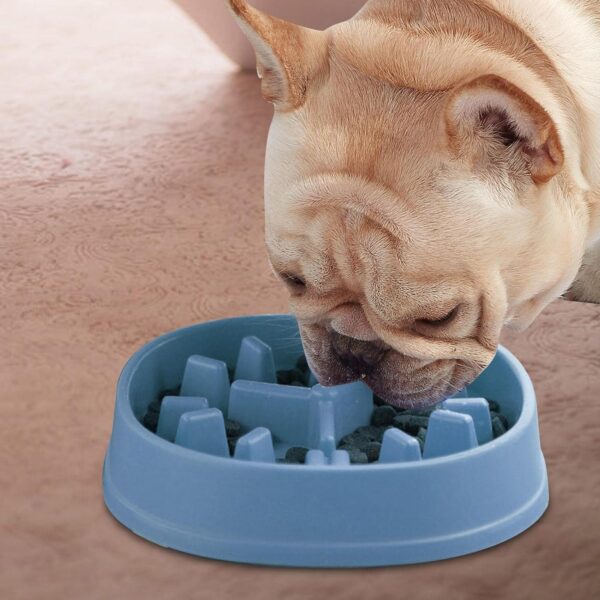 Slow Feed Bowl – Stop Fast Eating, Prevent Bloating & Vomiting