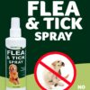 Anti-Tick & Flea Spray – Instant Protection from Pests, Naturally