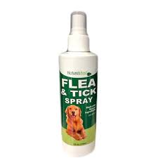 Anti-Tick & Flea Spray – Instant Protection from Pests, Naturally