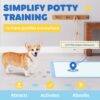 Pet Training Pads – Hassle-Free Potty Training & Indoor Cleanups