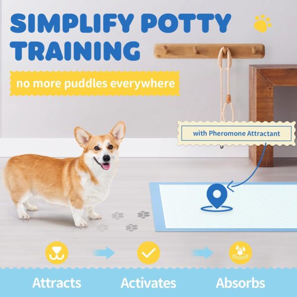 Pet Training Pads – Hassle-Free Potty Training & Indoor Cleanups