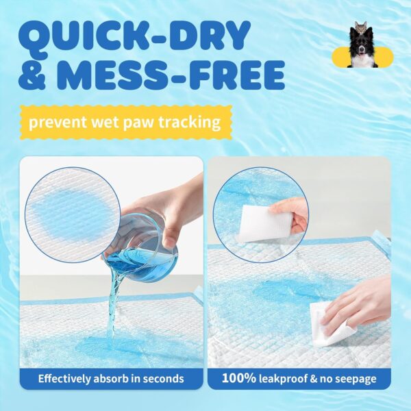 Pet Training Pads – Hassle-Free Potty Training & Indoor Cleanups