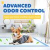 Pet Training Pads – Hassle-Free Potty Training & Indoor Cleanups
