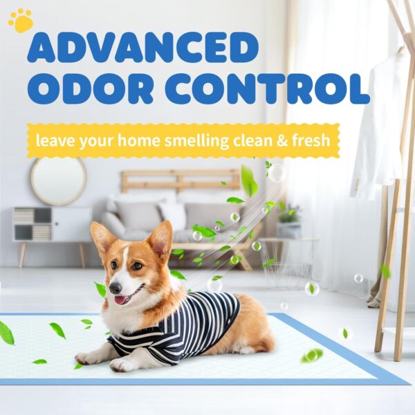 Pet Training Pads – Hassle-Free Potty Training & Indoor Cleanups
