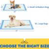Pet Training Pads – Hassle-Free Potty Training & Indoor Cleanups