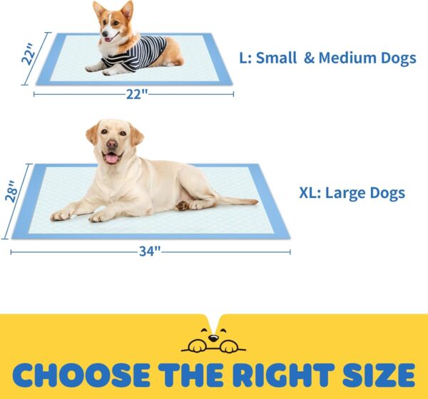 Pet Training Pads – Hassle-Free Potty Training & Indoor Cleanups