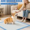Pet Training Pads – Hassle-Free Potty Training & Indoor Cleanups