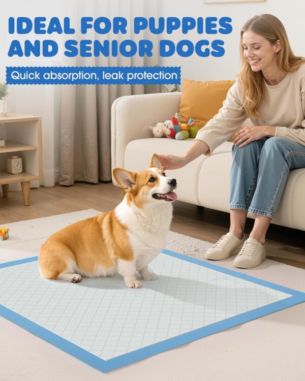 Pet Training Pads – Hassle-Free Potty Training & Indoor Cleanups
