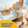 Pet Training Pads – Hassle-Free Potty Training & Indoor Cleanups