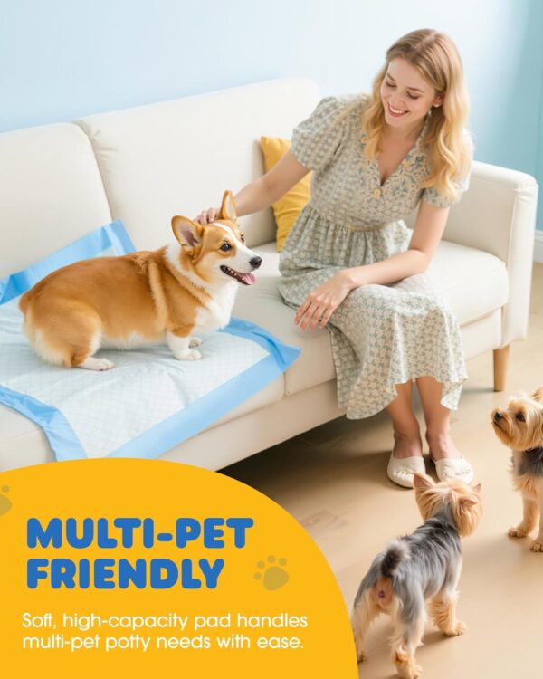 Pet Training Pads – Hassle-Free Potty Training & Indoor Cleanups