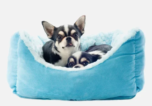 product-thumb-18_optimized